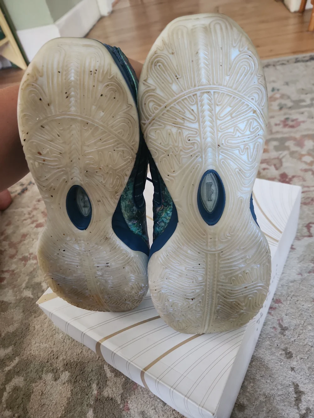 Size 14 - Nike LeBron 21 Abalone With Box